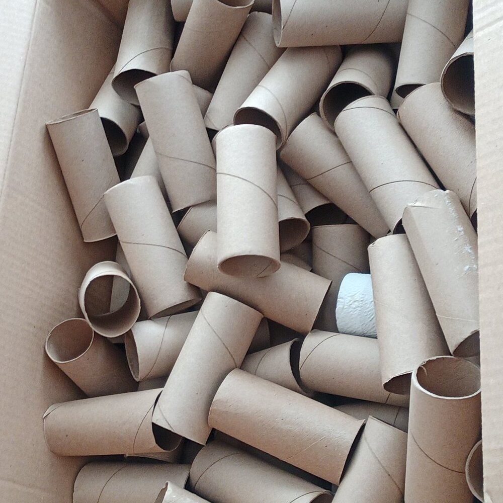ECO CONSCIENCE  150 Empty Flattened Toilet Paper Rolls For Crafting, Gardening